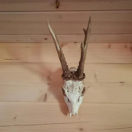 Villa Vikendica Sa Bazenom Carolija