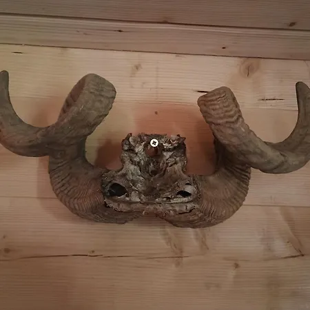 Vikendica Sa Bazenom Carolija Villa *