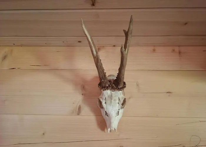 فيلة Vikendica Sa Bazenom Carolija