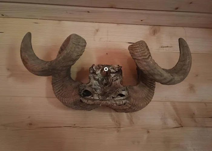 Vikendica Sa Bazenom Carolija فيلة *